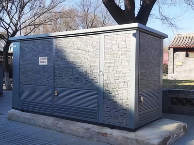 Zhangjiakou Winter Olympics Supporting Power Distribution Project