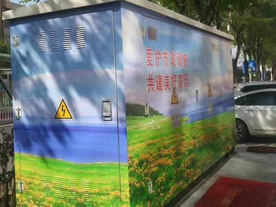 Zhangjiakou Winter Olympics Supporting Power Distribution Project