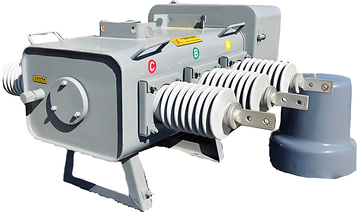 Load Break Switch (LBS)